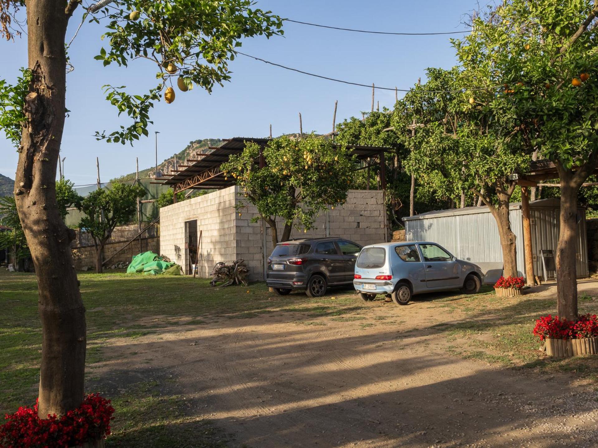 הוילה פיאנו די סורנטו Giardino Di Nonno Lucio - Surrounded By Lemon Tree מראה חיצוני תמונה