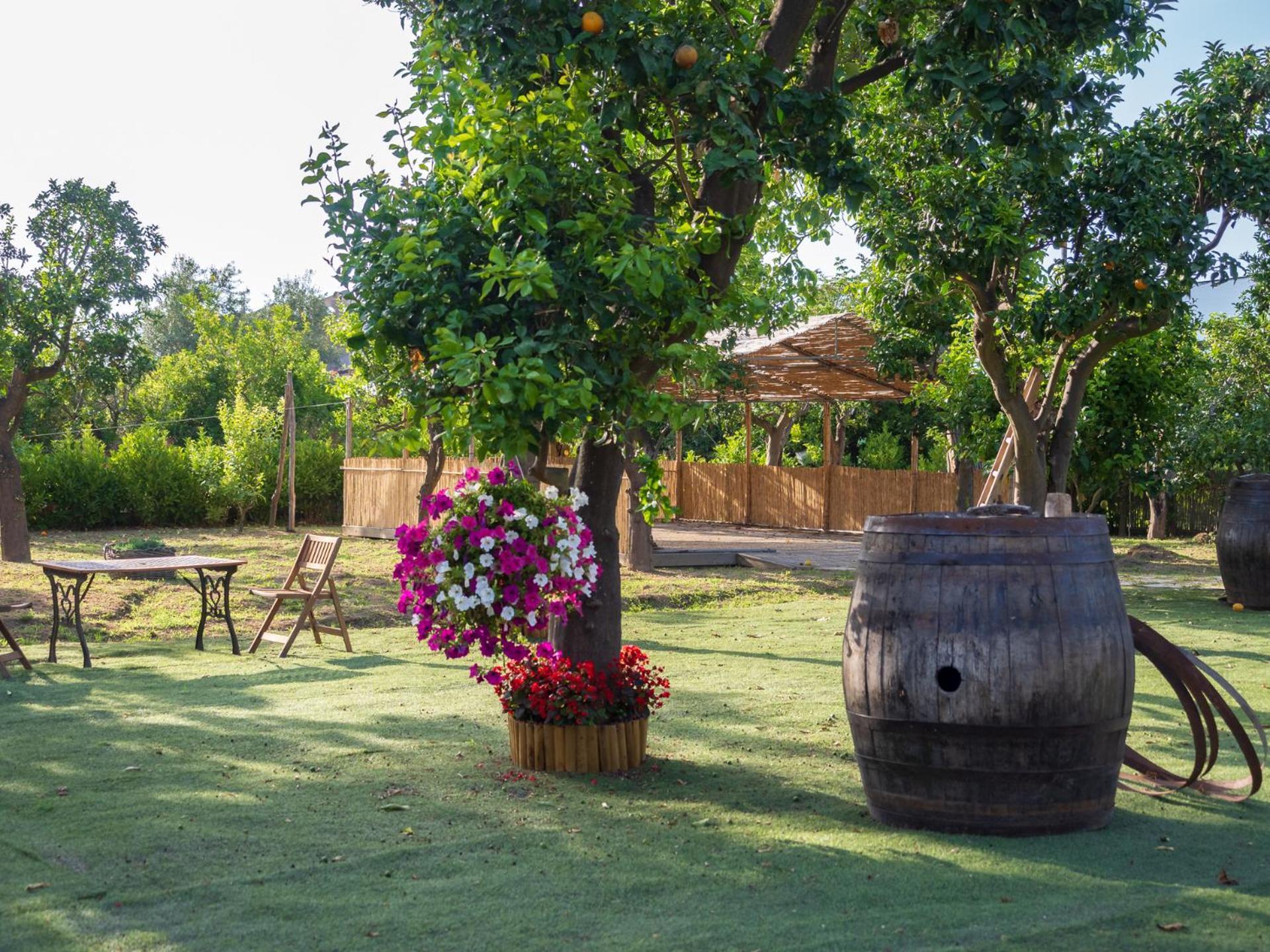 הוילה פיאנו די סורנטו Giardino Di Nonno Lucio - Surrounded By Lemon Tree מראה חיצוני תמונה