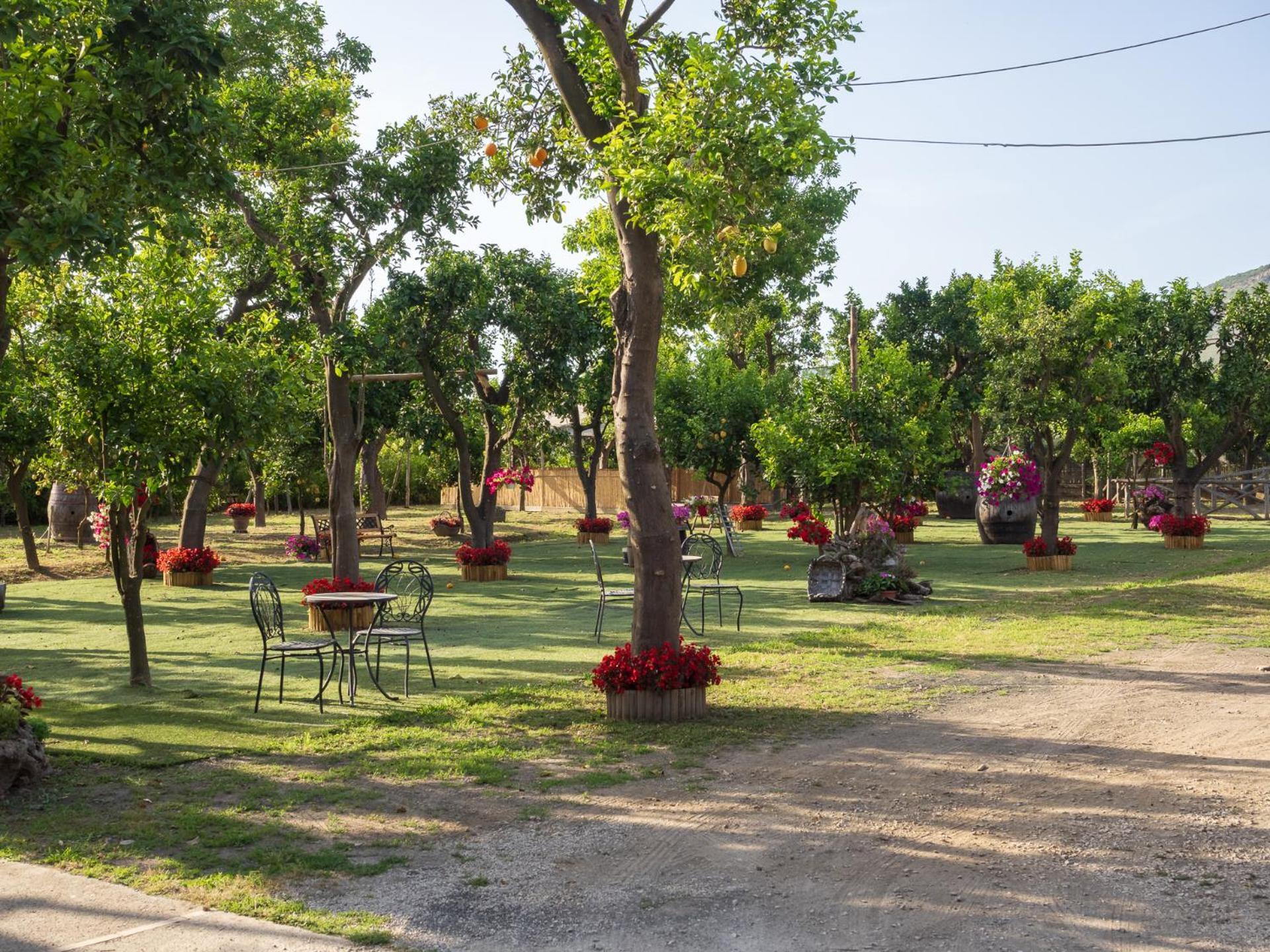 הוילה פיאנו די סורנטו Giardino Di Nonno Lucio - Surrounded By Lemon Tree מראה חיצוני תמונה