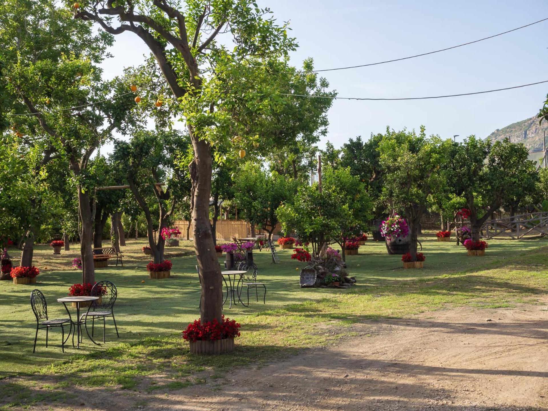 הוילה פיאנו די סורנטו Giardino Di Nonno Lucio - Surrounded By Lemon Tree מראה חיצוני תמונה