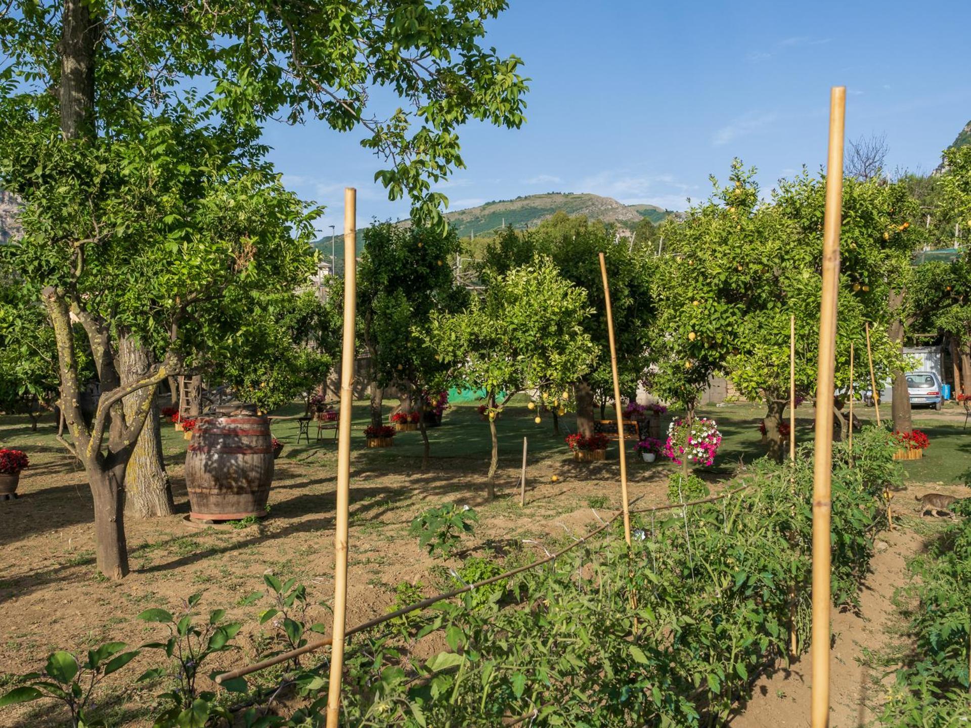 הוילה פיאנו די סורנטו Giardino Di Nonno Lucio - Surrounded By Lemon Tree מראה חיצוני תמונה