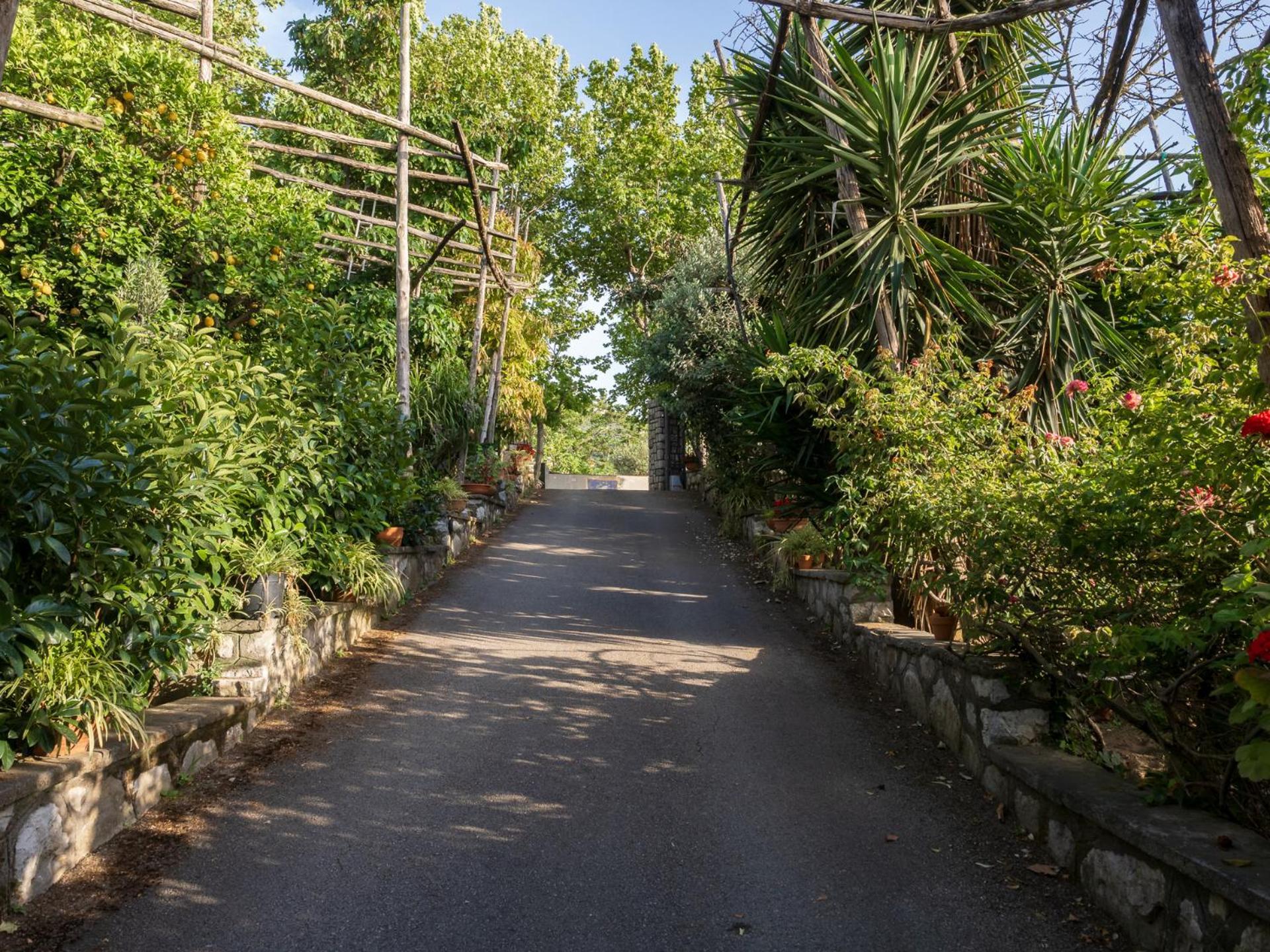 הוילה פיאנו די סורנטו Giardino Di Nonno Lucio - Surrounded By Lemon Tree מראה חיצוני תמונה