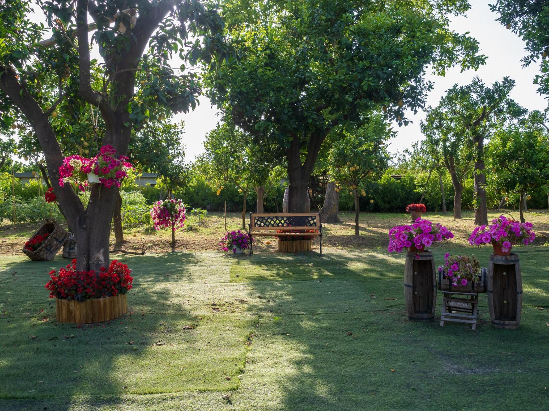 הוילה פיאנו די סורנטו Giardino Di Nonno Lucio - Surrounded By Lemon Tree מראה חיצוני תמונה